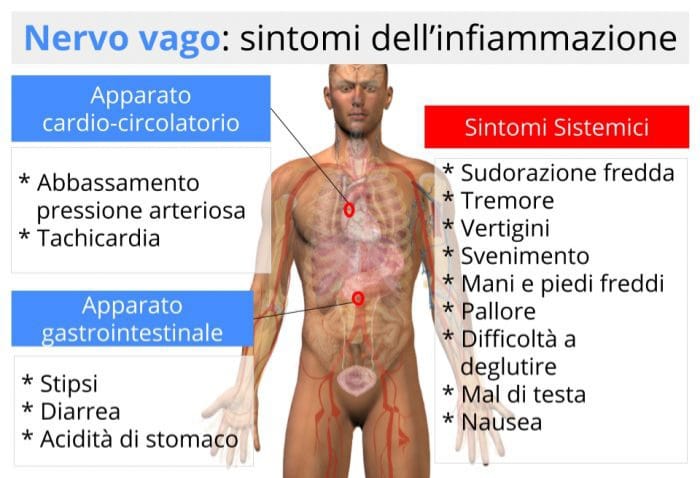 illustrazione sintomi nervo vago